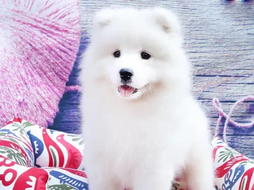 1623291577583215.jpg gp=0_看圖王.jpg