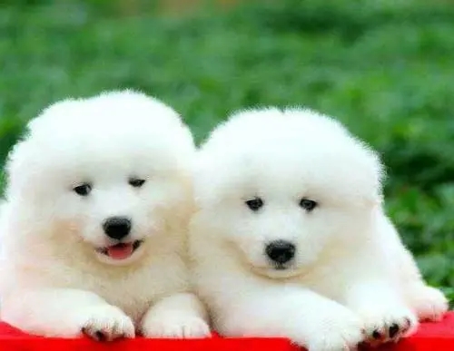 1623291622159957.jpg p=0_看圖王.jpg