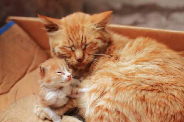 1626328874373873.jpg src=http_%2F%2Fdingyue.nosdn.127.net%2FWlwo4L1VvBRzoDwXr4nDYSRDPC5ngq=qXNDnio3PFjHJx1538535880171.jpg&refer=http_%2F%2Fdingyue.nosdn.127.jpg